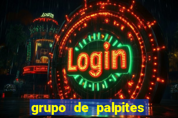 grupo de palpites de futebol whatsapp